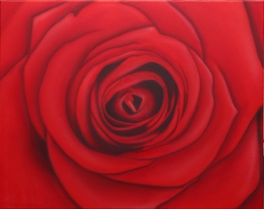 Rose - 80 x 100 cm