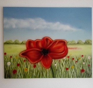 Mohnblume - 80 x 100 cm